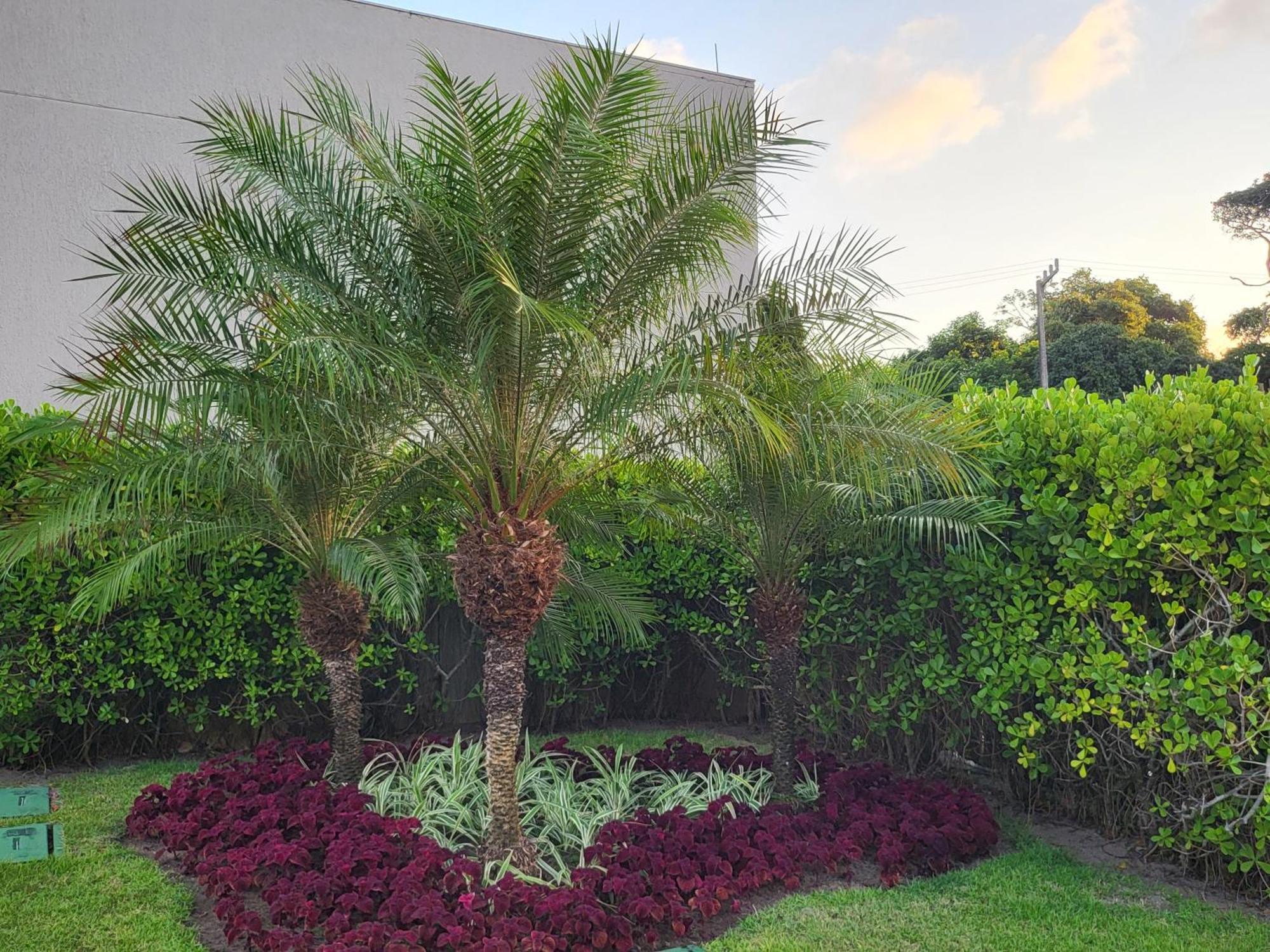 Ferienwohnung Boutique Ecolife Pôrto das Galinhas Exterior foto